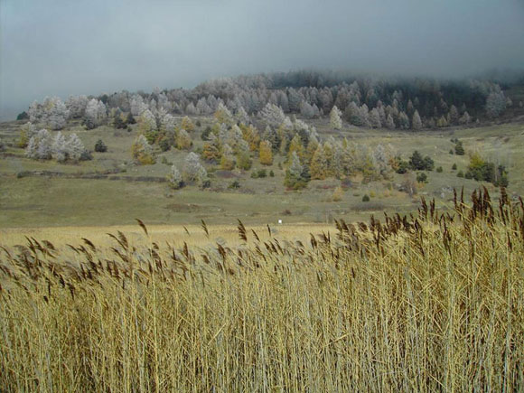 The nature reserve of Lozon