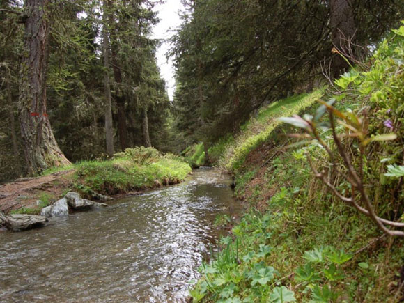 Irrigation canals (rus)